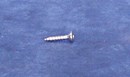 Self Tapping Screw Polished Stainless Steel - Raised Countersunk 8G x 3/4 inch long