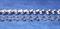 Holden 6 Cyl Bolt Kit 186 & 202 - suits Standard Tin Valve Covers Polished Stainless Steel [Button Heads]