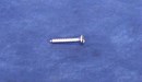 Self Tapping Screw Polished Stainless Steel - Raised Countersunk 8G x 1 inch long