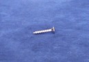 Self Tapping Screw Polished Stainless Steel - Raised Countersunk 10G x 1 inch long