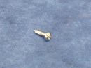 Self Tapping Screw Polished Stainless Steel - Pan Head 10G x 3/4 inch long